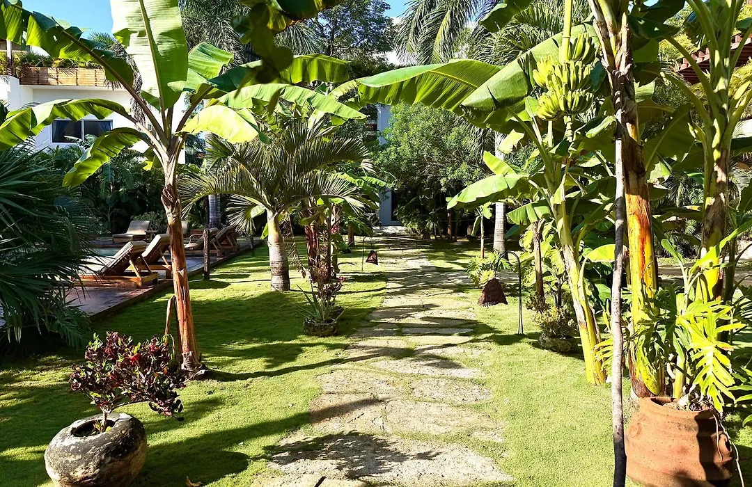 Xscapetulum-1