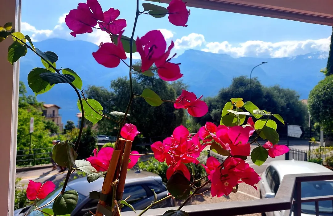 Hotel Villa Grazia-1