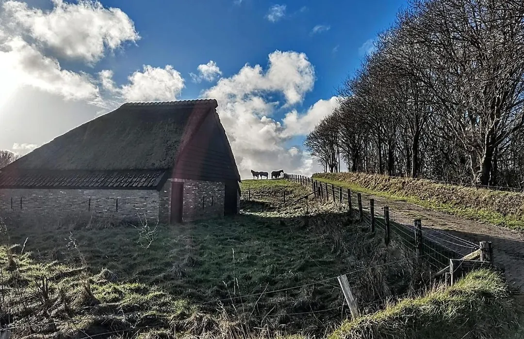 B&B Vloedlijn Texel-1