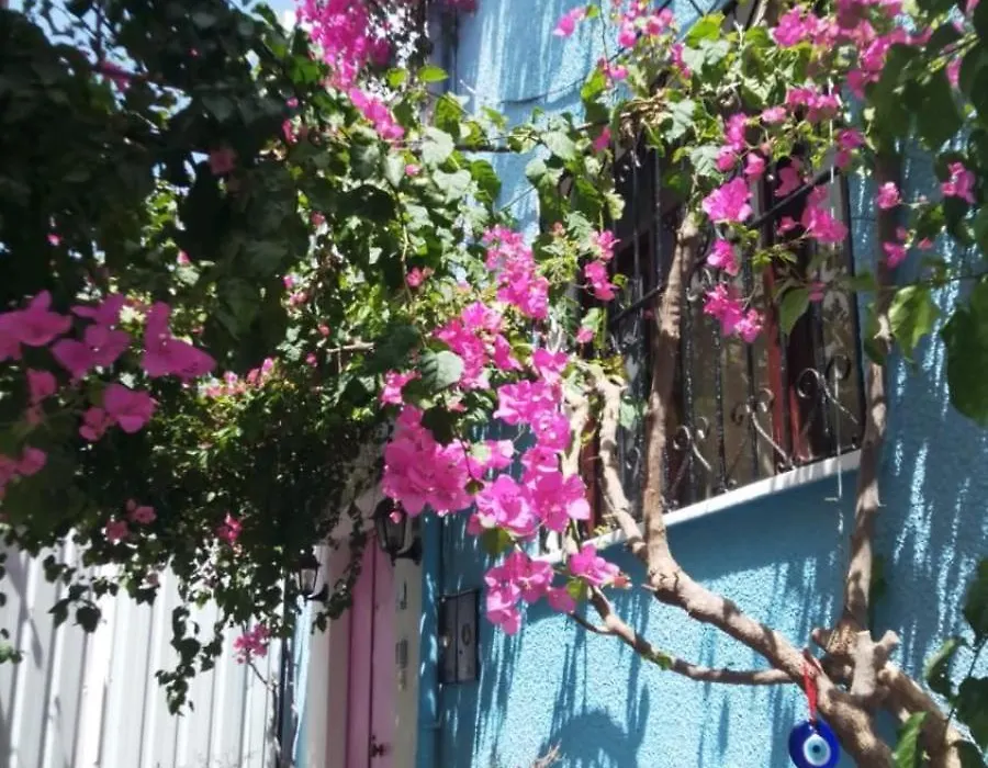 Casa Magnolia Boutique Rooms-1