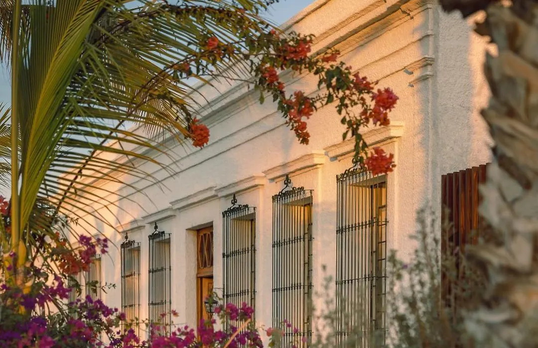 Baja Club Hotel, La Paz, Baja California Sur, A Member Of Design Hotels-1