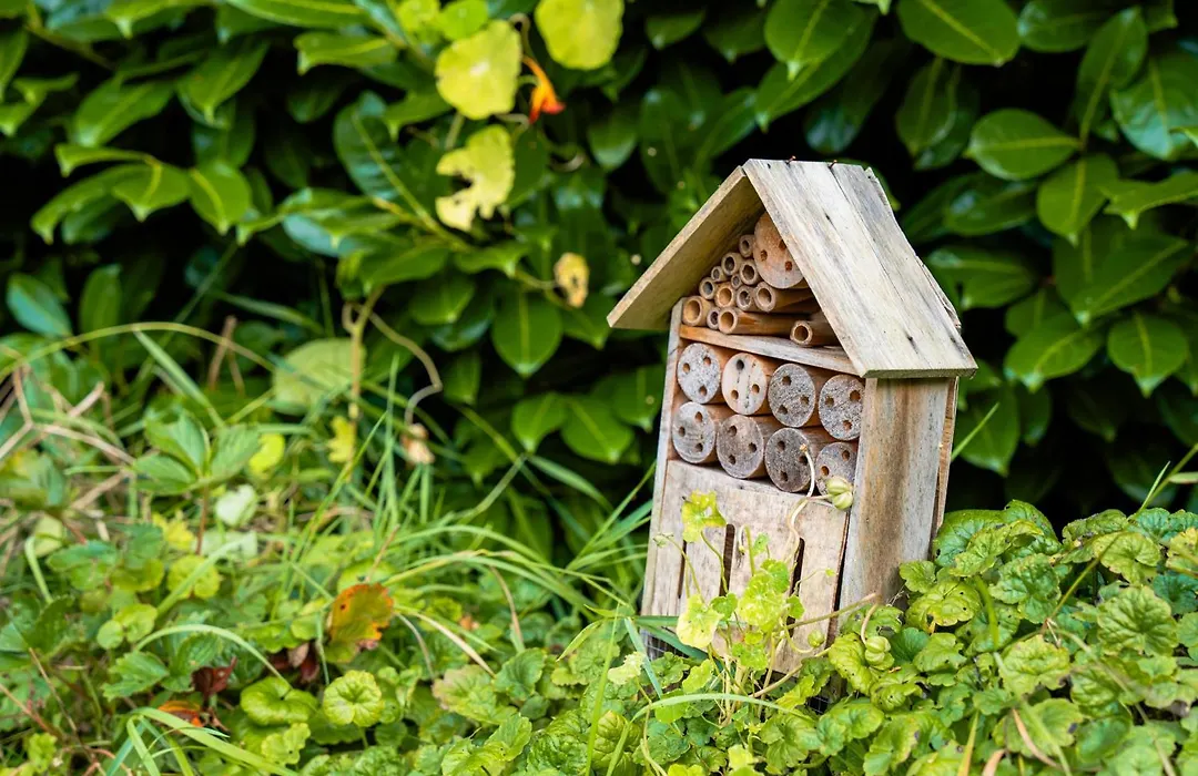 B&B Het Wellnest-1