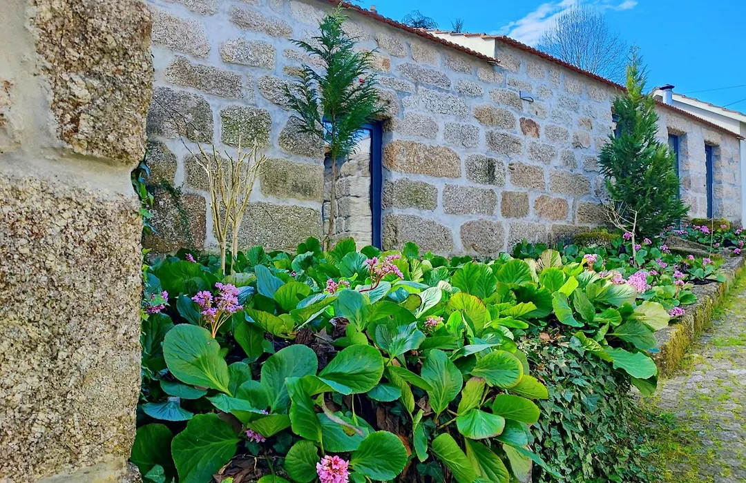 Agroturismo Quinta De Travancela-1