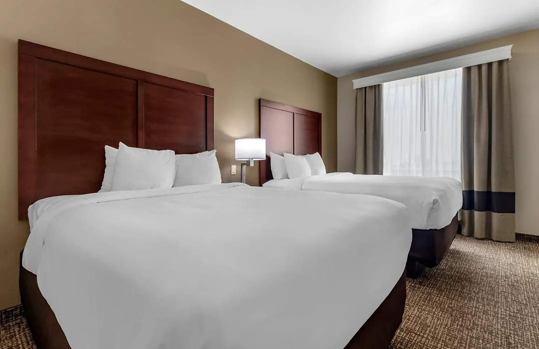 Comfort Suites Plano - Dallas North-1