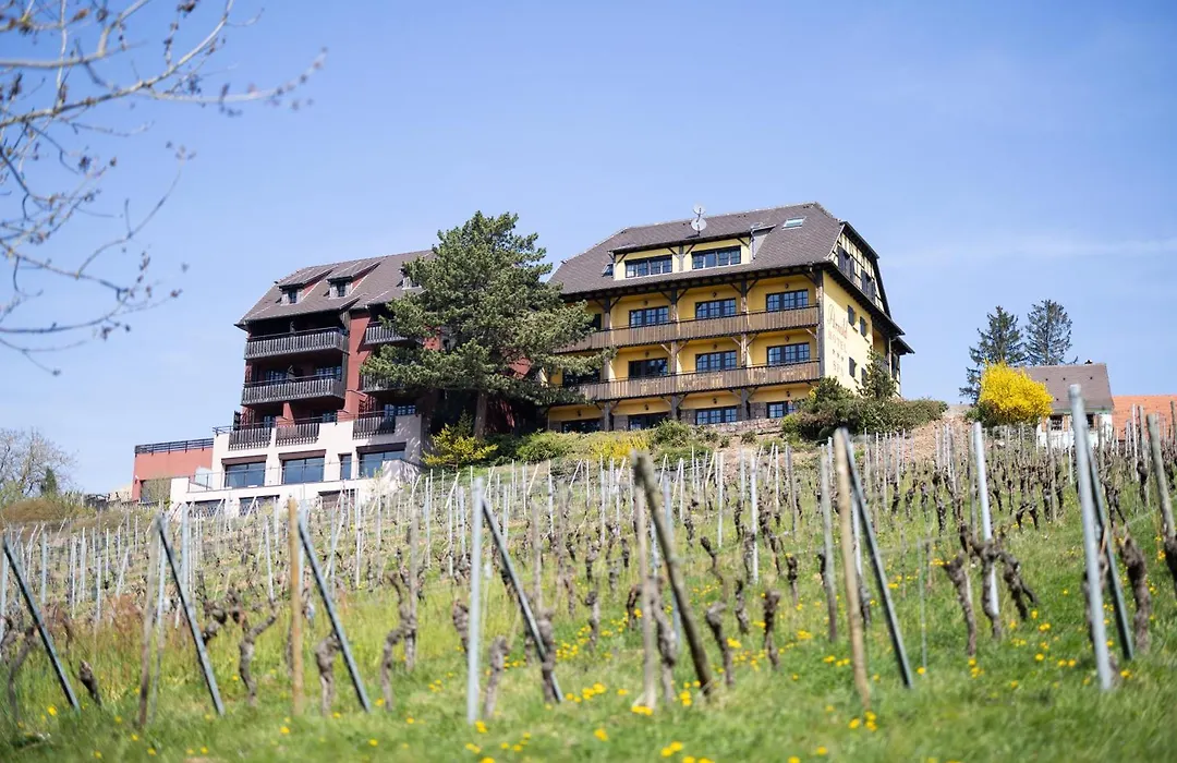 Hôtel Arnold-1