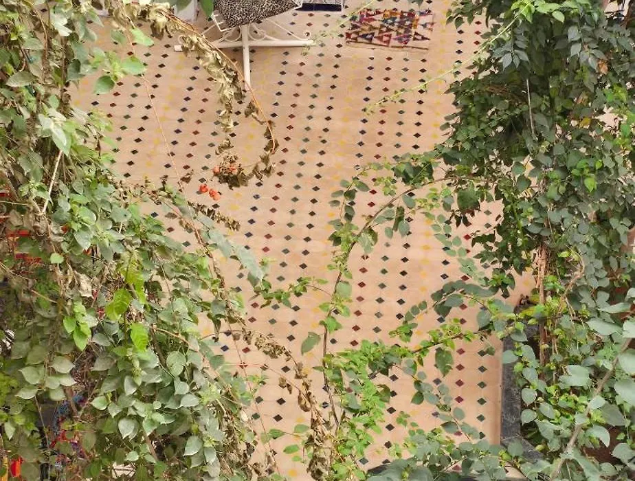 Riad Raffaa-1