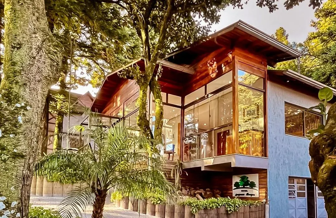 Hotel Pequeno Bosque-1