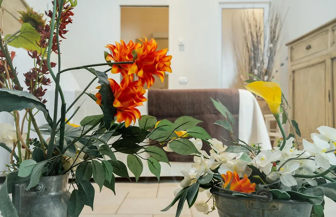 Il Claustro - Bed&breakfast-1