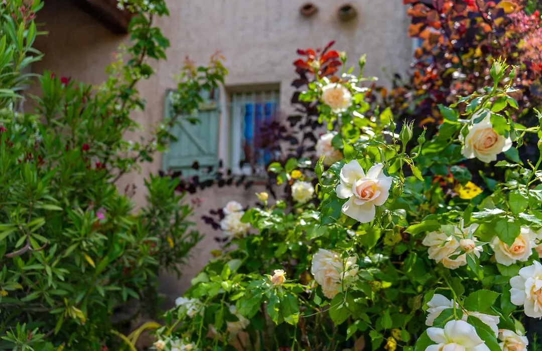 Hotel Les Oliviers-1