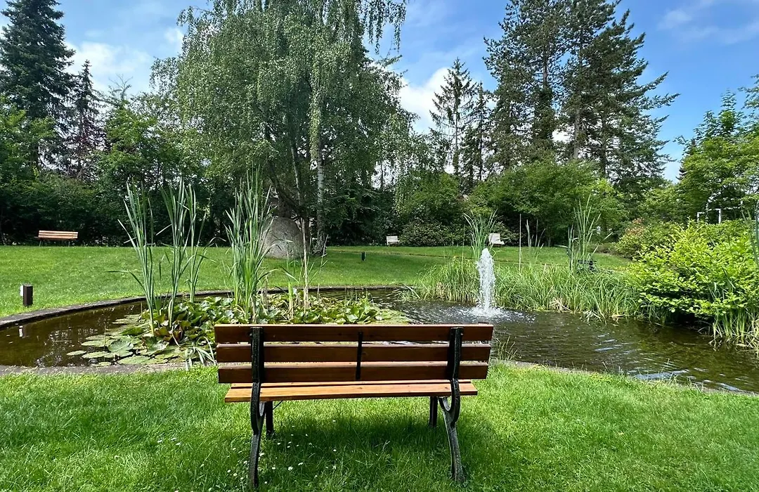 VitalHotel Ascona-1