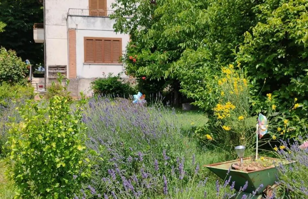 Stella Polare B&B-1