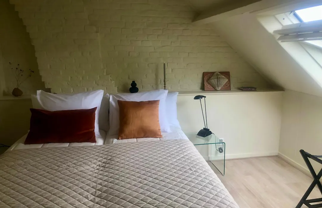 B&B Alexander-1
