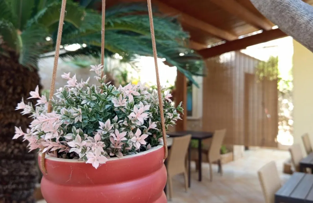 Amaryllis Hotel-1