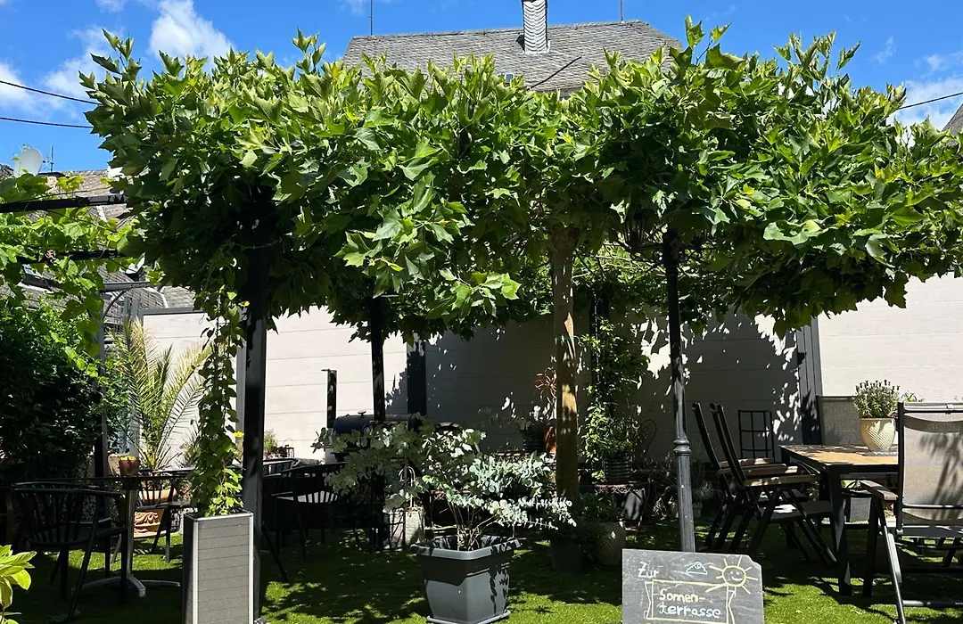 Landgasthof Zur Sonne-1