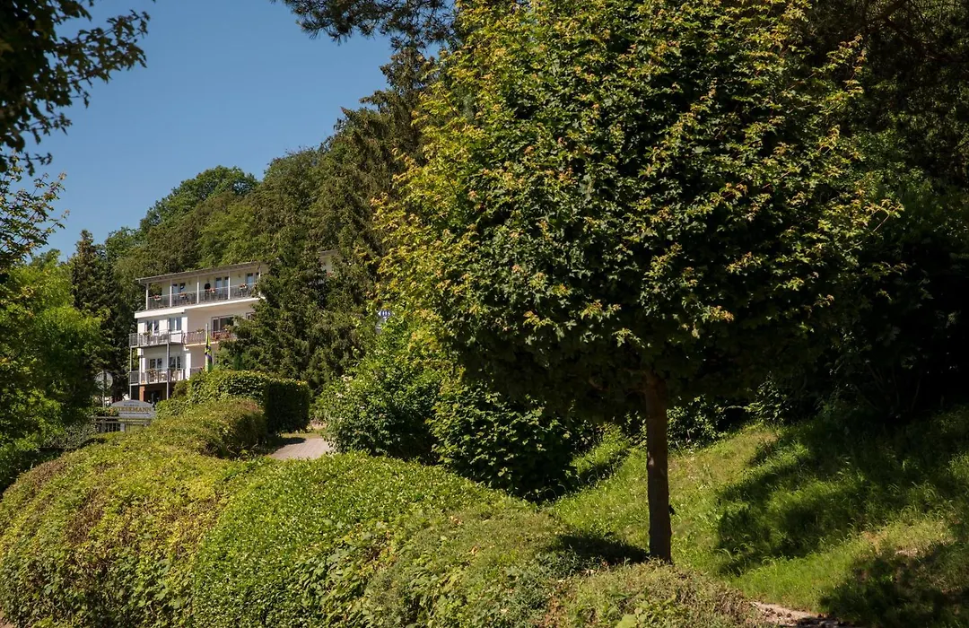 PlusNaturHotel direkt am Ederseeufer Waldhotel Wiesemann und Ferienapartments-1