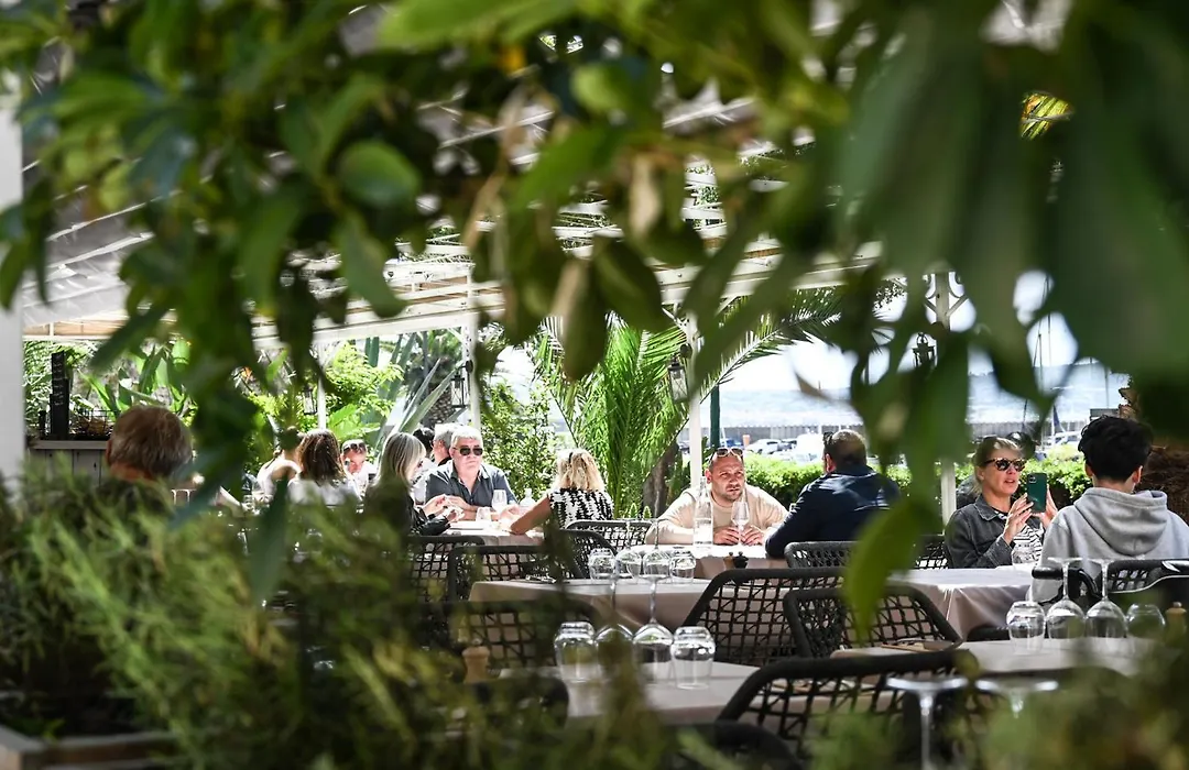 Hotel Les Palmiers-1