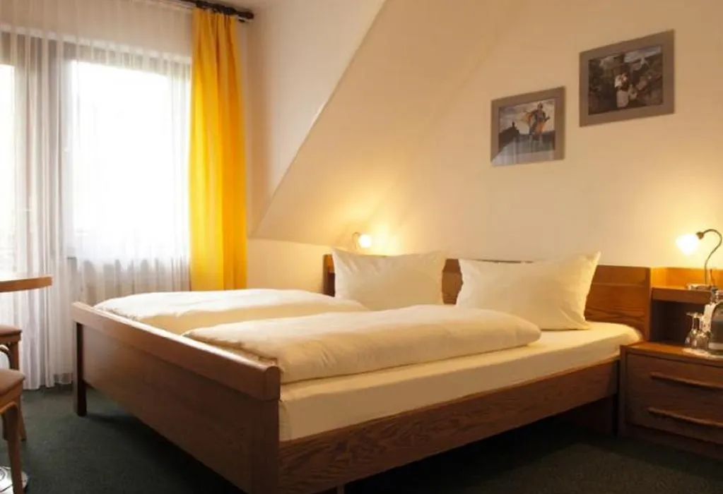Moselstern Hotel Zum guten Onkel-1