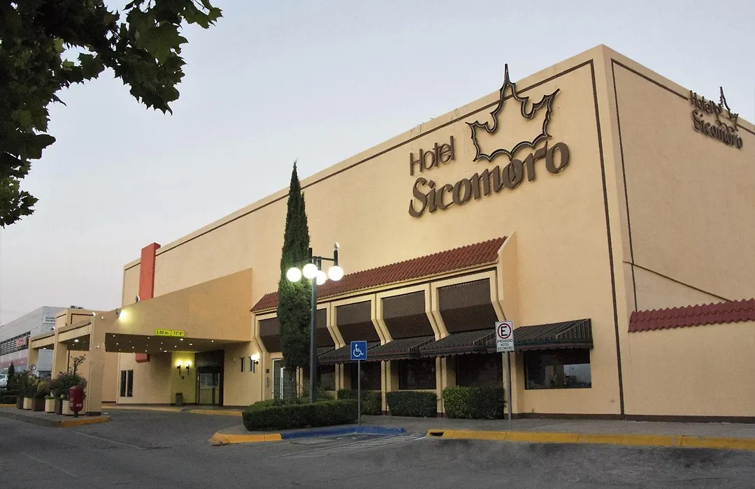 Hotel Sicomoro-1