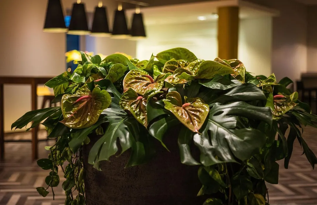 Sheraton Duesseldorf Airport Hotel-1
