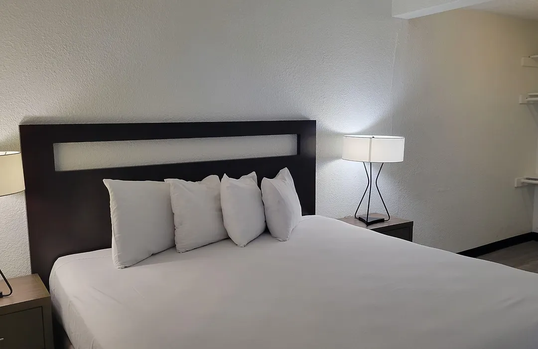 Vivo Flex Living Torrance-1