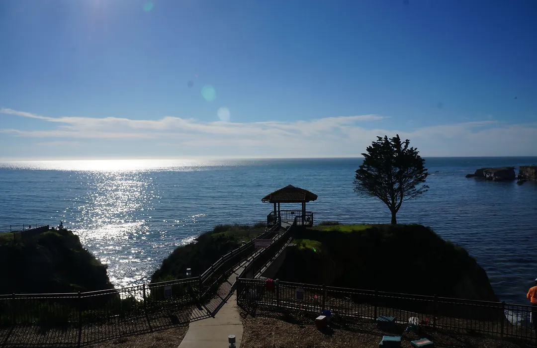 Inn At The Cove-1