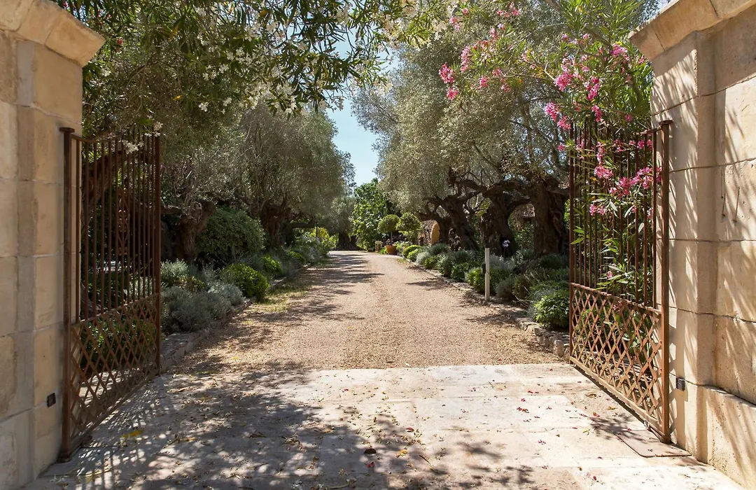 Domaine Les Mésanges-1