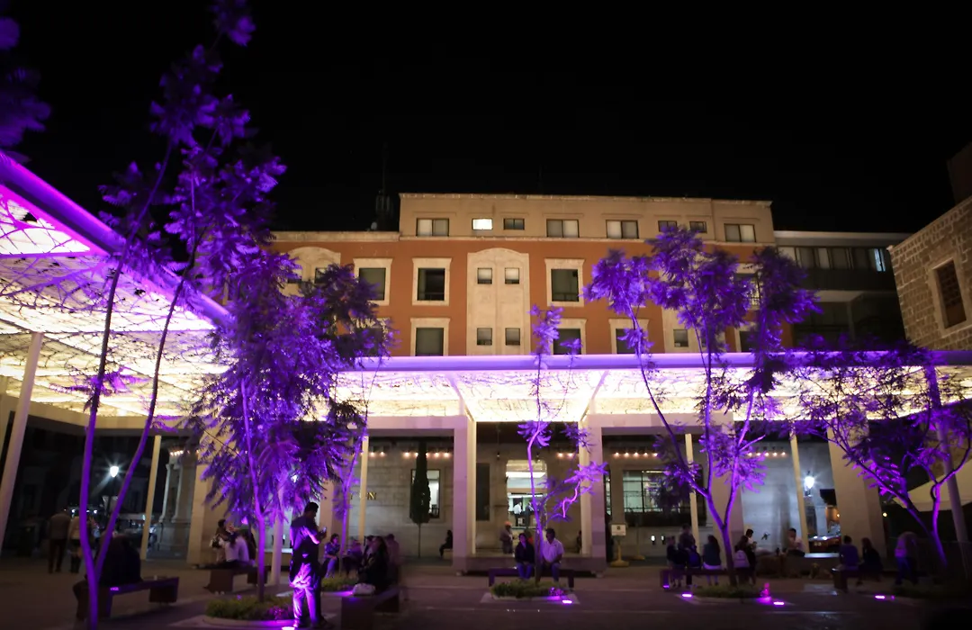 Quality Inn Aguascalientes-1