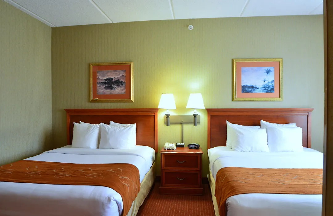 Comfort Suites Northlake-1