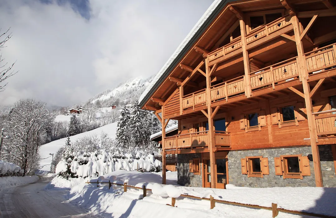 Les Chalets de La Griyotire-1