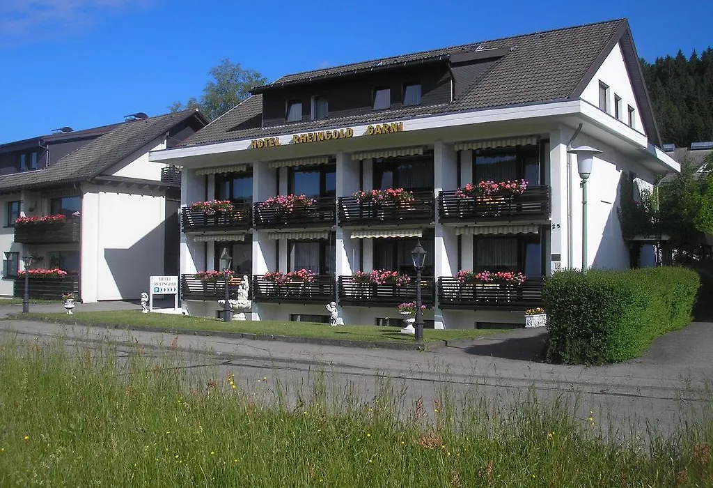 Hotel Rheingold Garni-1
