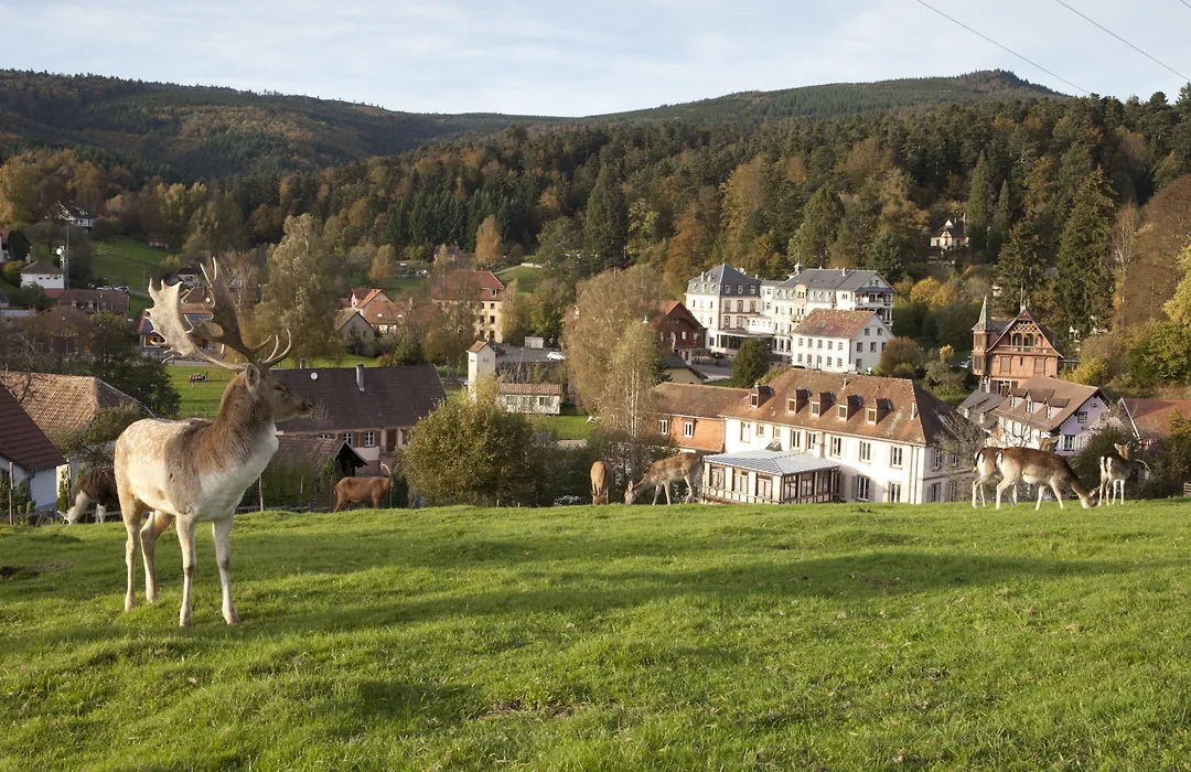 Le Grand Hotel Du Hohwald By Popinns-1