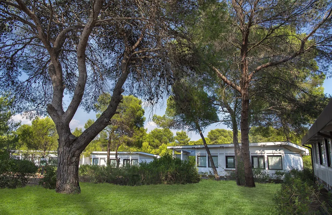 Ethra Reserve Alborèa-1