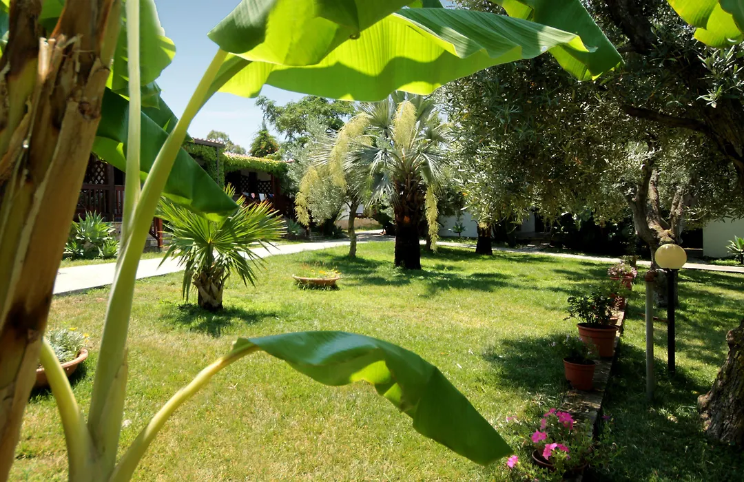 Tonicello Hotel Resort&SPA-1