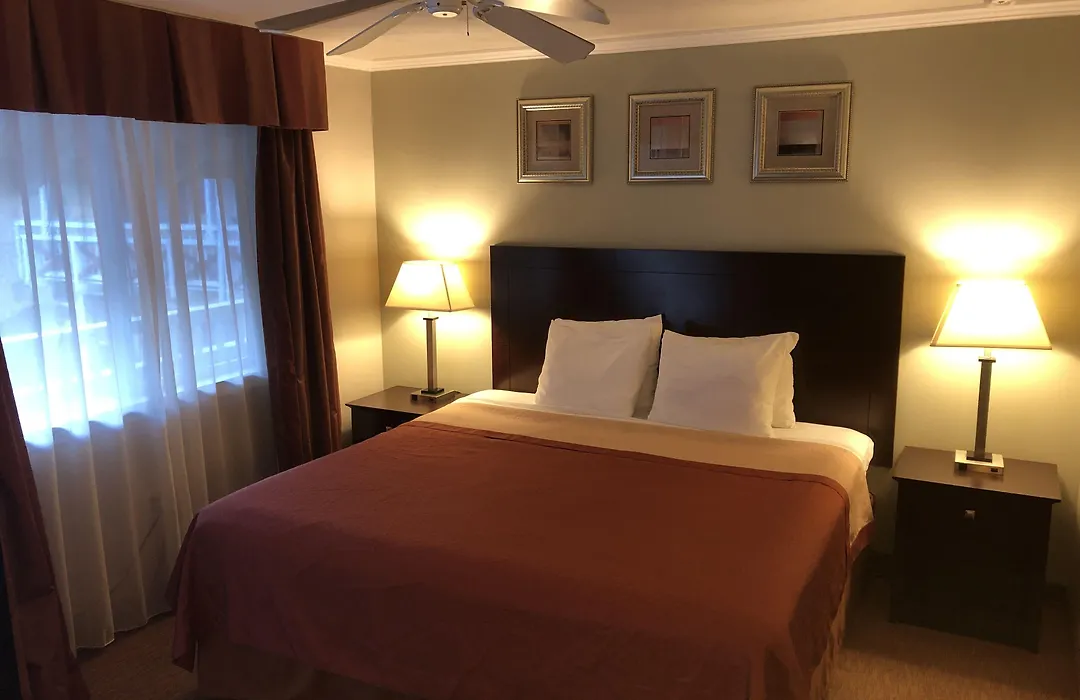 Global Inn-1