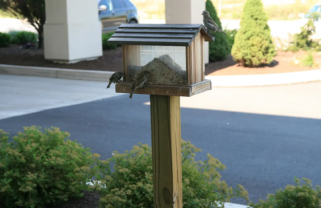 Hampton Inn Lewisburg-1