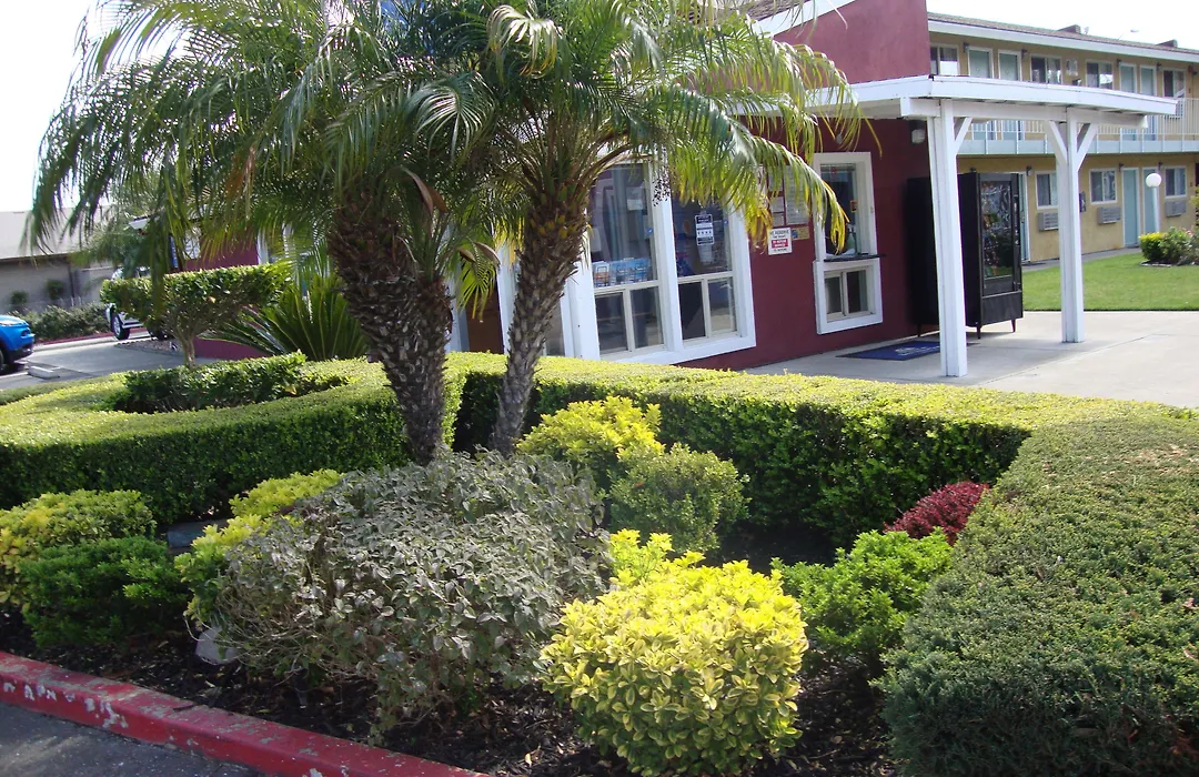 Oasis Inn Sacramento- Elk Grove-1