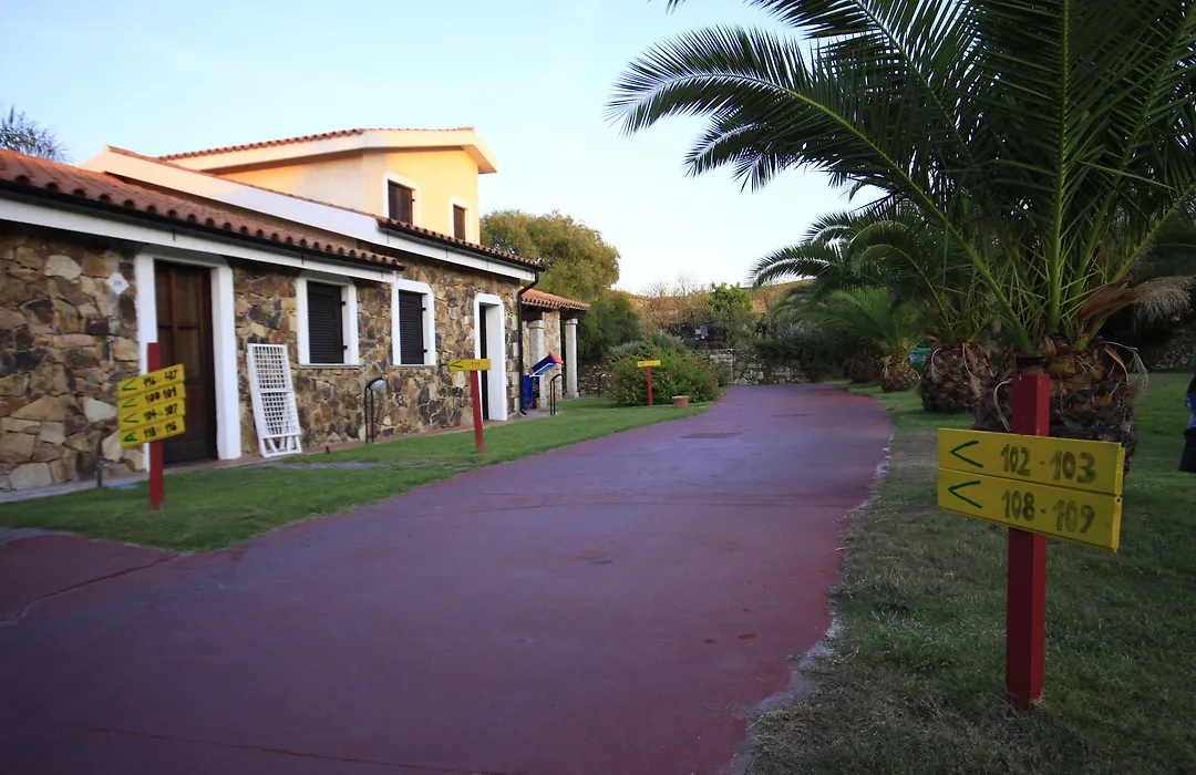 Amareclub Le Rose-1