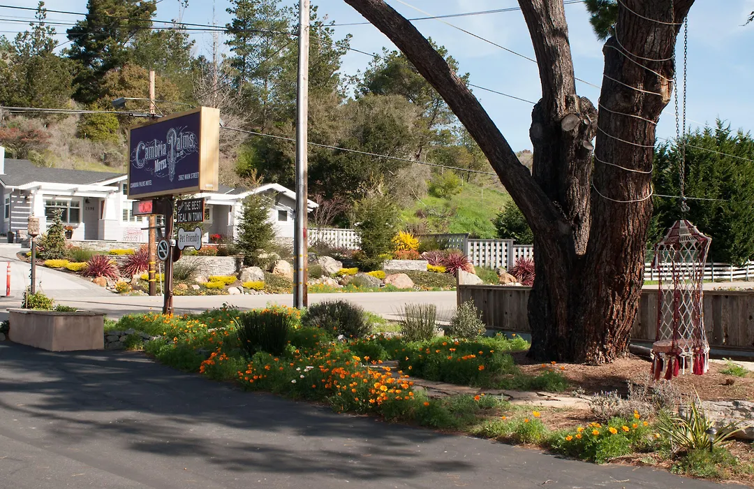 Cambria Palms Motel-1