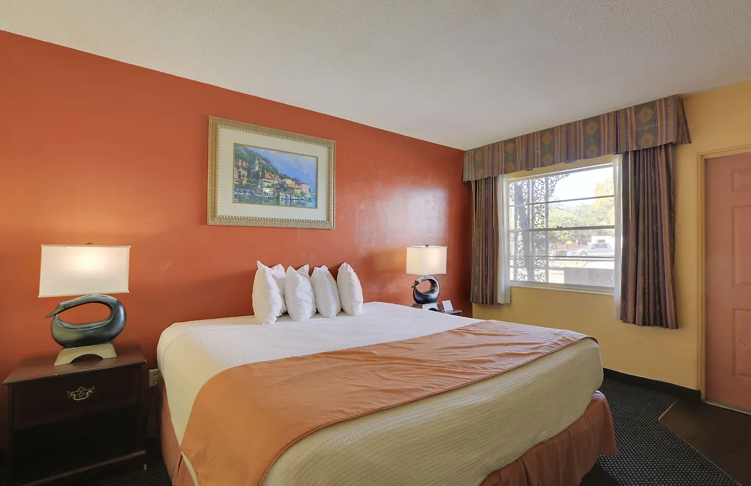 Econo Lodge St Petersburg Central-1