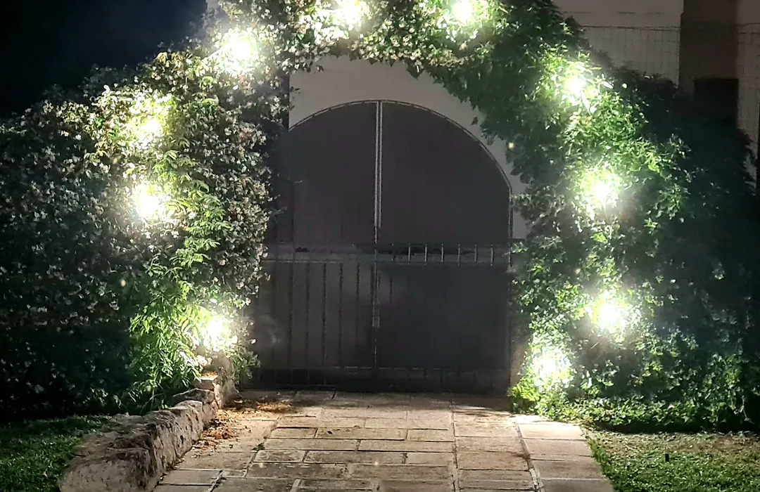 Hotel Villa Elisabetta-1