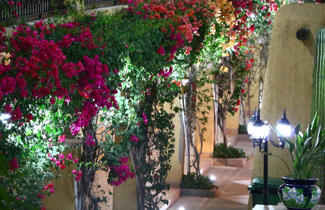 Hacienda Suites Loreto-1