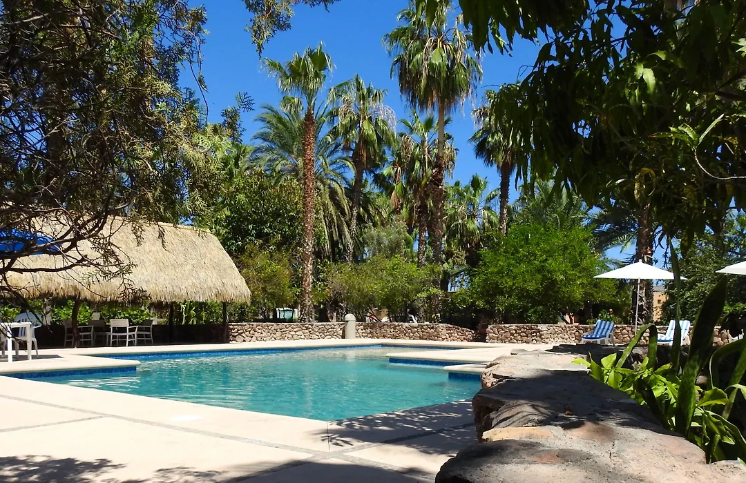Hotel Oasis-1