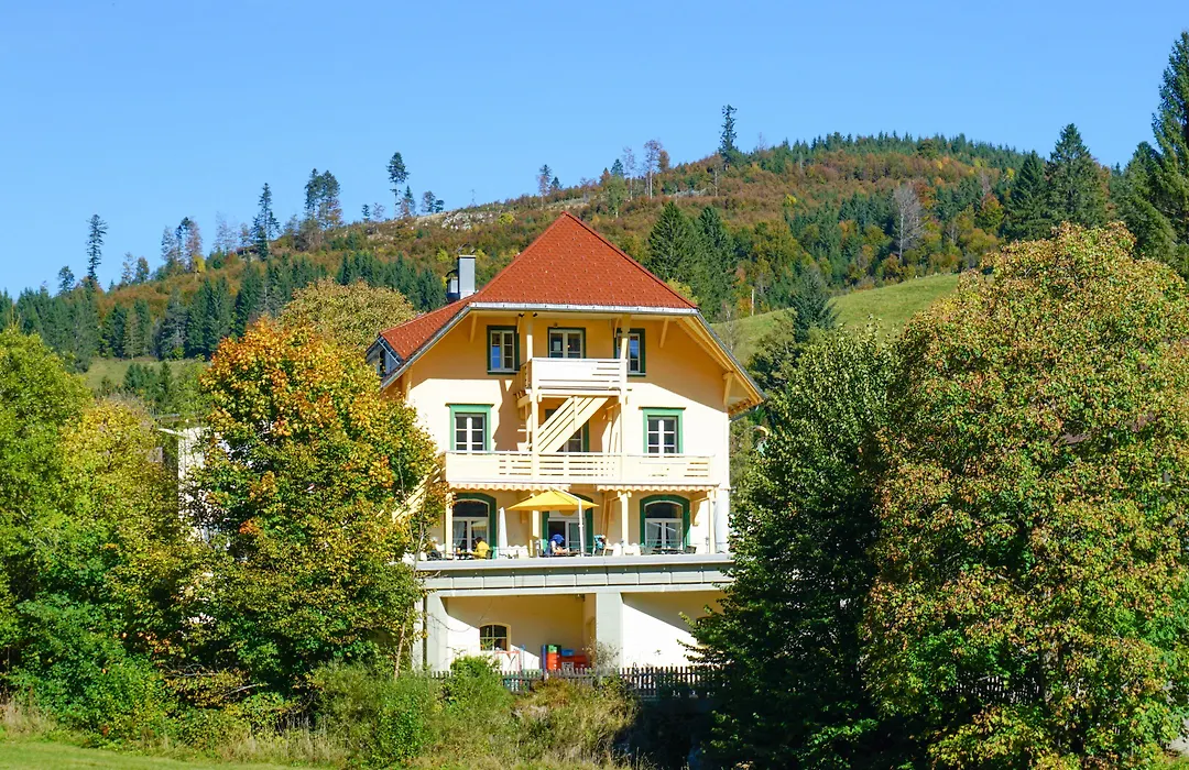 Grüner Baum Naturparkhotel&Schwarzwald-Restaurant-1