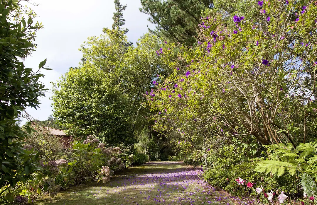 Quinta Santo Antonio Da Serra-1