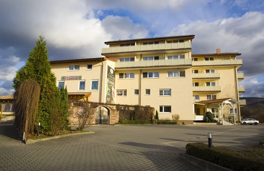 Hotel Engelhorn-1