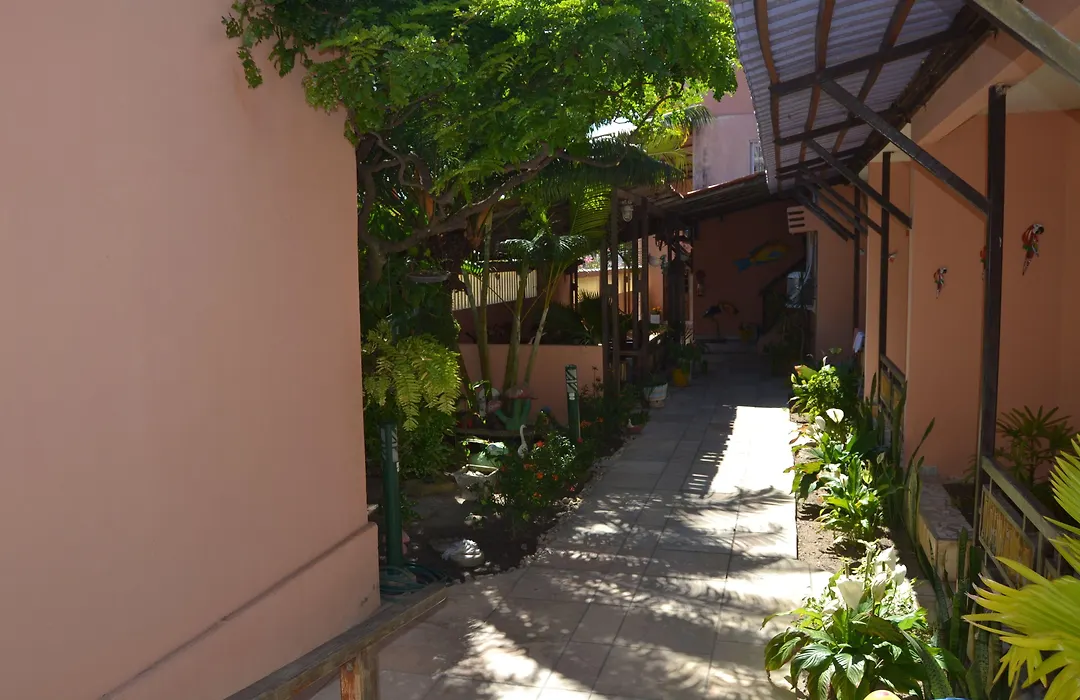 Porto Tropical Pousada-1