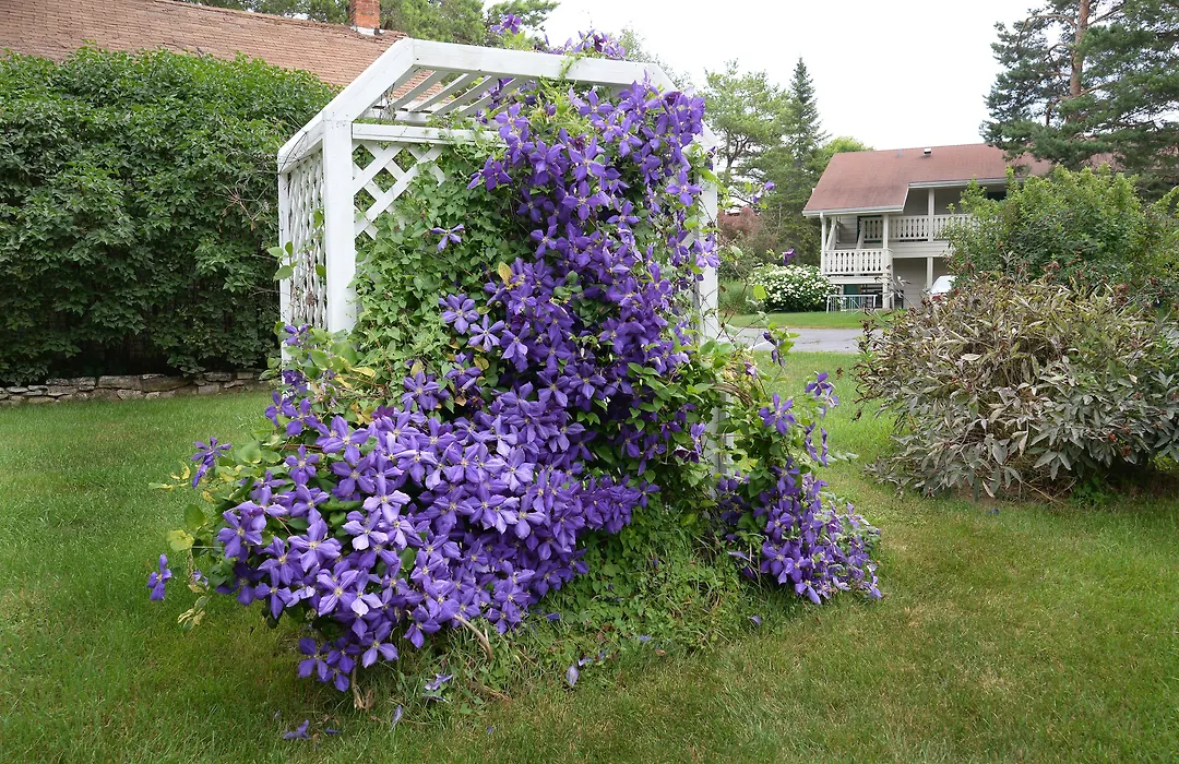 Parkwood Lodge-1