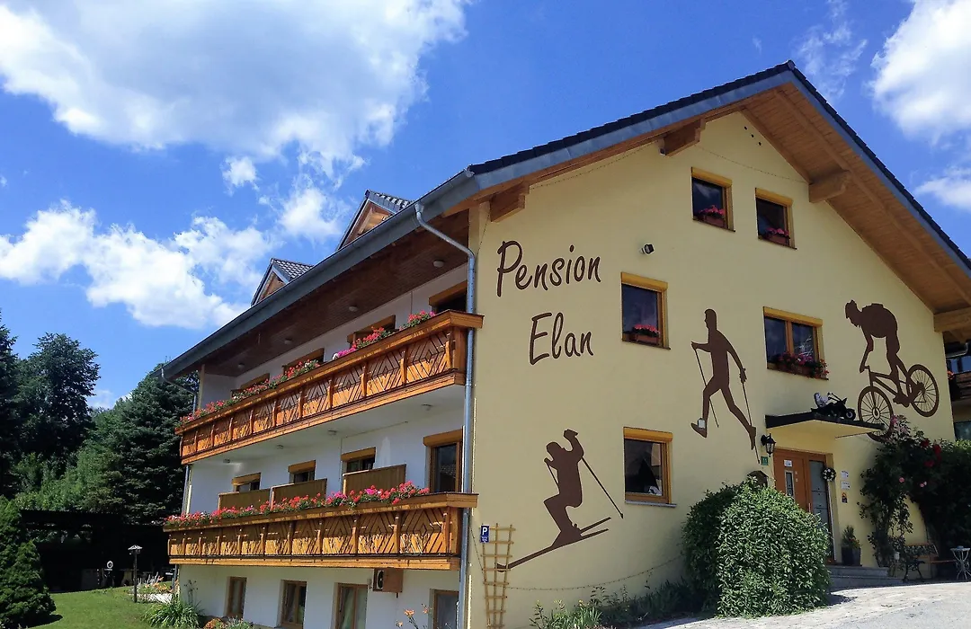 Pension Elan-1