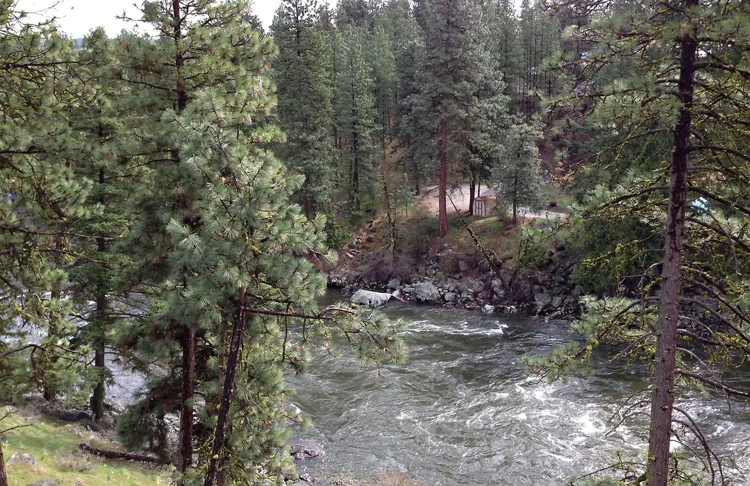 Alpine Rivers Inn-1