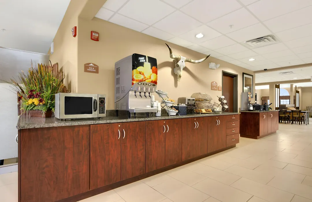 Microtel Inn & Suites By Wyndham Buda Austin South-1